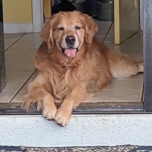 Fundraising Page: Sandra Mohabir-McKinley